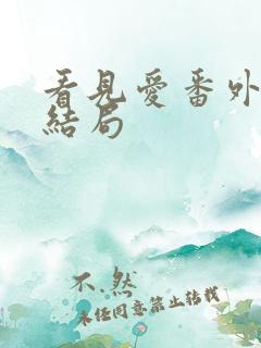 看见爱番外篇大结局