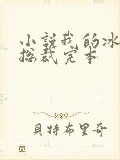 小说我的冰山女总裁完本