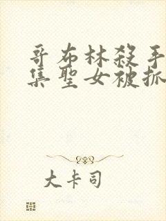 哥布林杀手第几集圣女被抓