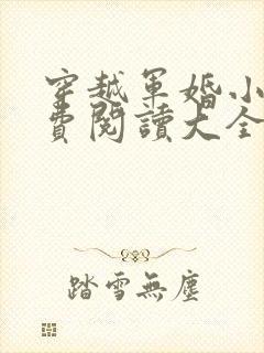 穿越军婚小说免费阅读大全