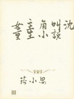 女主角叫沈清的重生小说