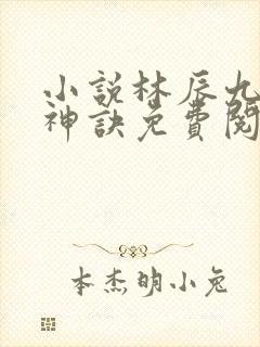 小说林辰九天斩神诀免费阅读