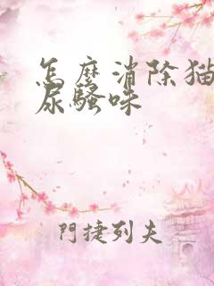 怎么消除猫咪的尿骚味