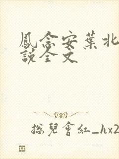 凤念安叶北宸小说全文