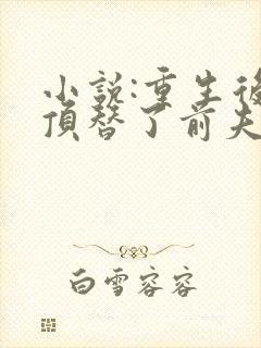 小说:重生后我顶替了前夫白月光