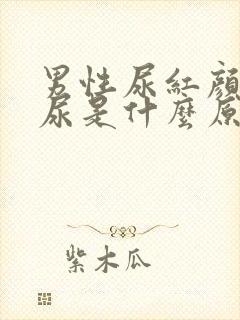 男性尿红颜色的尿是什么原因