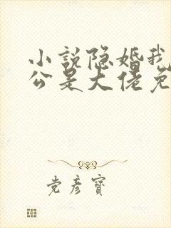 小说隐婚我的老公是大佬免费阅读