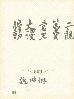 胆大党第二季 动漫免费观看大全