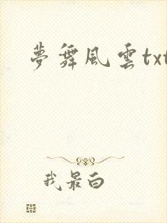 梦舞风云txt