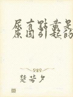 尿有点黄是什么原因引起的