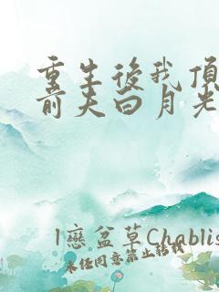 重生后我顶替了前夫白月光结局怎么样