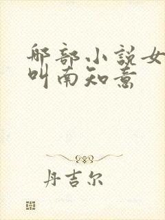 哪部小说女主角叫南知意