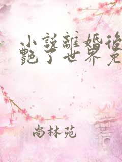 小说离婚后她惊艳了世界免费阅读