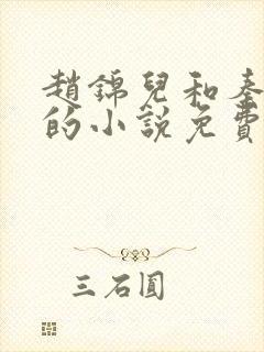 赵锦儿和秦慕修的小说免费