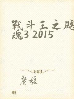 战斗王之飓风战魂3 2015