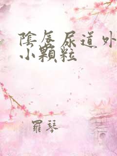 阴唇尿道外口有小颗粒