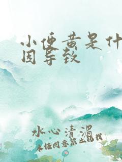 小便黄是什么原因导致