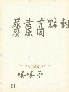 尿黄有点刺痛什么原因