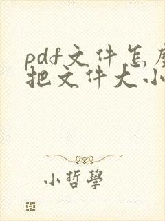 pdf文件怎么把文件大小变小