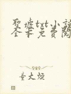 圣墟txt小说全本免费阅读