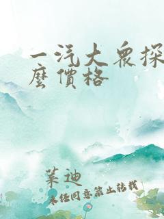 一汽大众探影什么价格