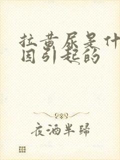 拉黄尿是什么原因引起的