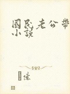 国民老公带回家小说