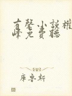 有声小说权力巅峰免费听