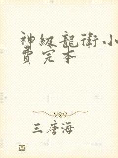 神级龙卫小说免费完本