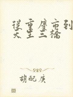 从重庆市到武隆天生三桥