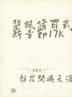 楚枫修罗武神最新章节17k