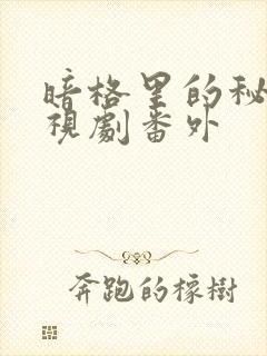 暗格里的秘密电视剧番外