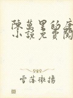 陈万里的唐嫣然小说免费阅读