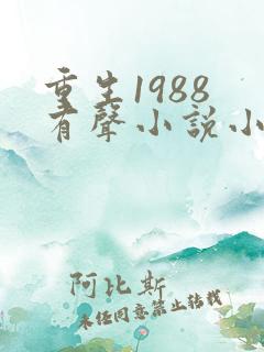 重生1988 有声小说小说