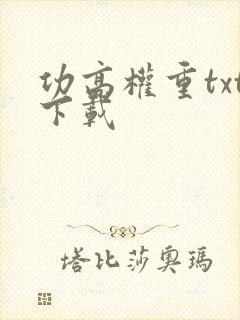 功高权重txt下载