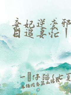 弃妃逆袭邪王日日追妻忙丨