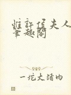 惟许侯夫人法采笔趣阁