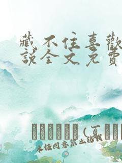 藏不住喜欢你小说全文免费阅读