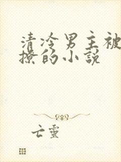 清冷男主被女主撩的小说