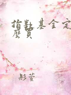 指数基金定投怎么买