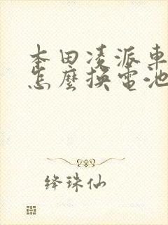 本田凌派车钥匙怎么换电池