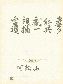 电视剧红岩下的追捕一共多少集