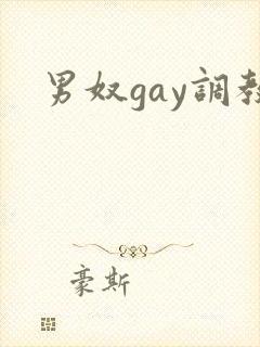 男奴gay调教