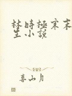 林时极寒末世重生小说