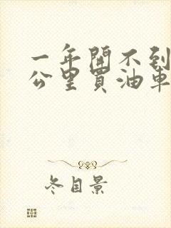 一年开不到一万公里买油车还是电车