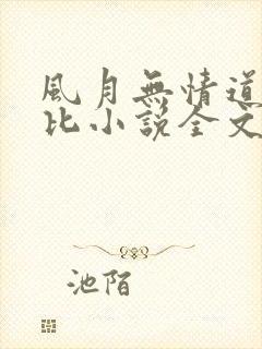 风月无情道比卡比小说全文免费阅读笔趣阁