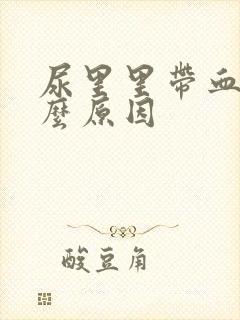 尿里里带血是什么原因