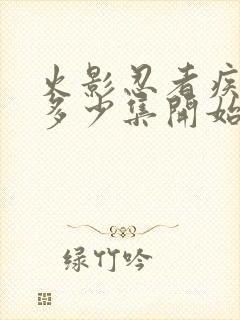 火影忍者疾风传多少集开始的