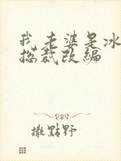 我老婆是冰山女总裁改编