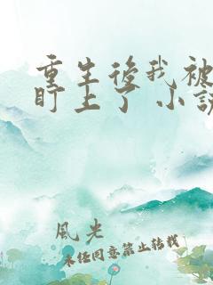 重生后我被大佬盯上了 小说